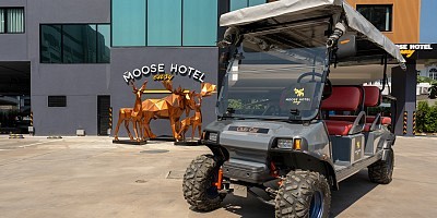 Moose Easy Hotel